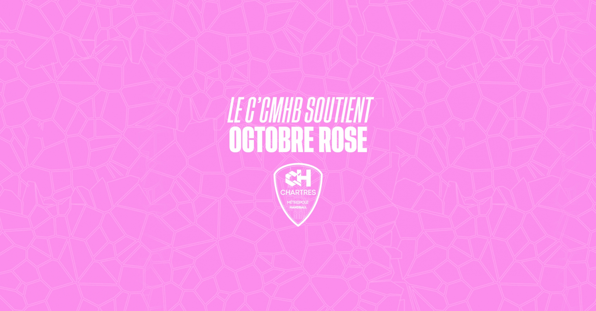 Le C'Chartres Métropole Handball se mobilise aux côtés des femmes durant Octobre Rose