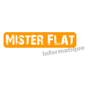 MISTER FLAT INFORMATIQUE