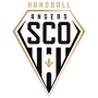 Logo Angers